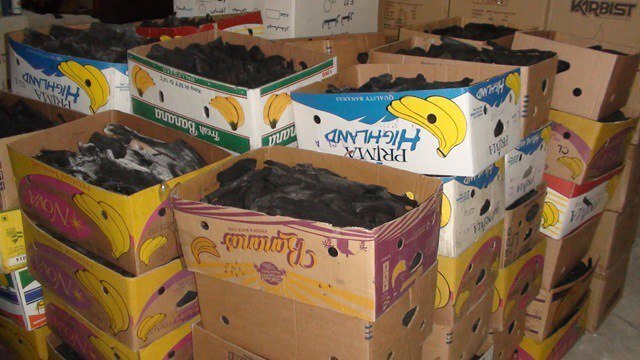 کشف محموله زغال تاغ قاچاق در شاهرود کشف محموله زغال تاغ قاچاق در شاهرود