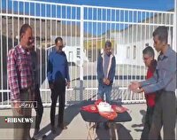 کیکی که برای چهارمین سال بریده می شود