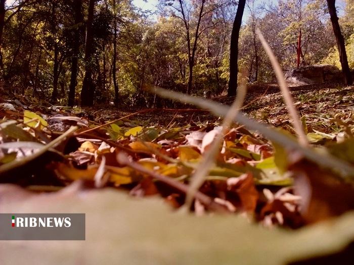 سردی پاییز در راه استان سردی پاییز در راه استان