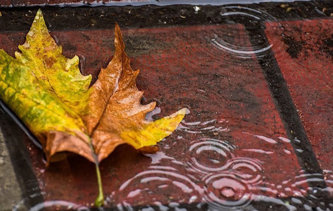 بارشهای پراکنده در شمال کشور بارشهای پراکنده در شمال کشور