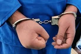 دستگیری عامل نزاع و درگیری در باغ جنت شیراز دستگیری عامل نزاع و درگیری در باغ جنت شیراز