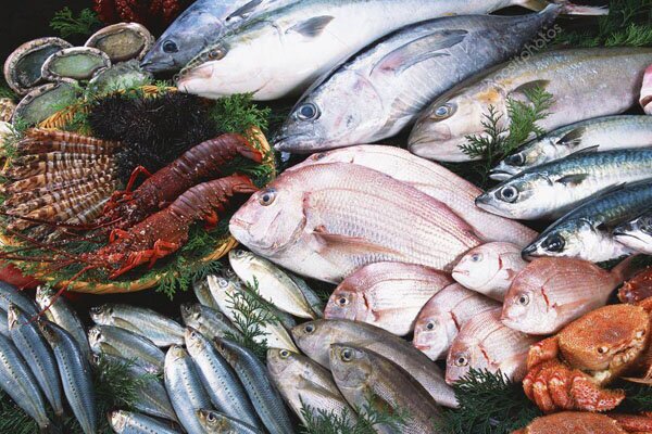 خوزستان در جایگاه سوم تولید شیلات در کشور