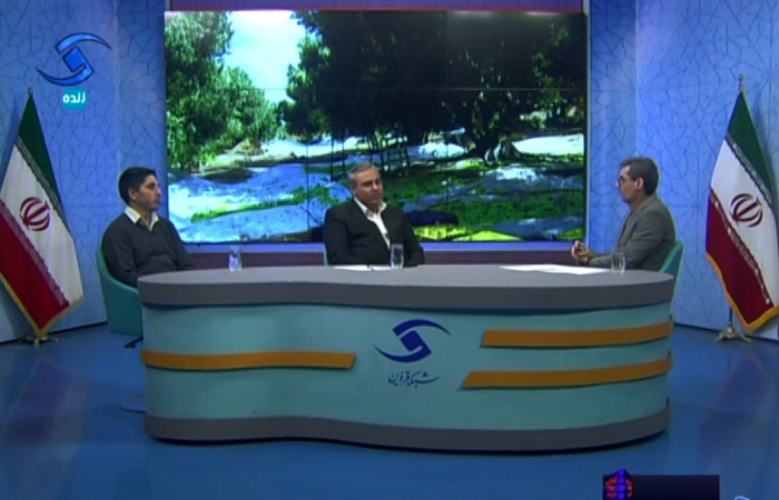 تحول در تولید زیتون با بهره‌گیری از دانش روز و فناوری‌های نوین