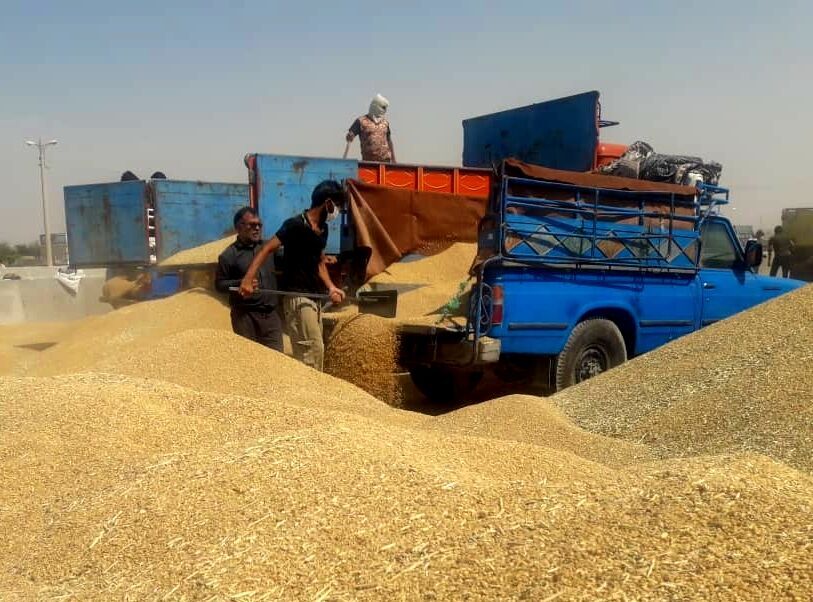 خرید بیش از یک‌میلیون و ۴۰۲ هزار تن گندم از کشاورزان خوزستان