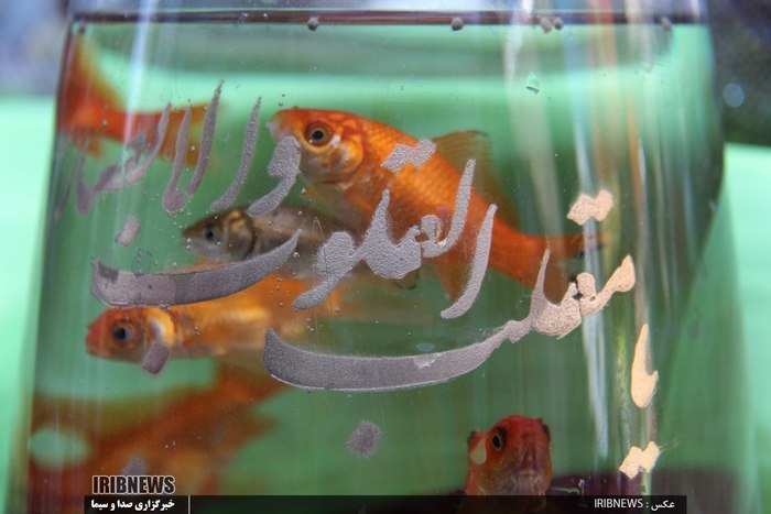 جلوه های زیبای عید 97 در اردبیل