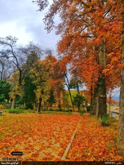 زیبایی های خرم آباد در فصل پائیز شهر زیبایی ها
عکس: سعیده دریکوند